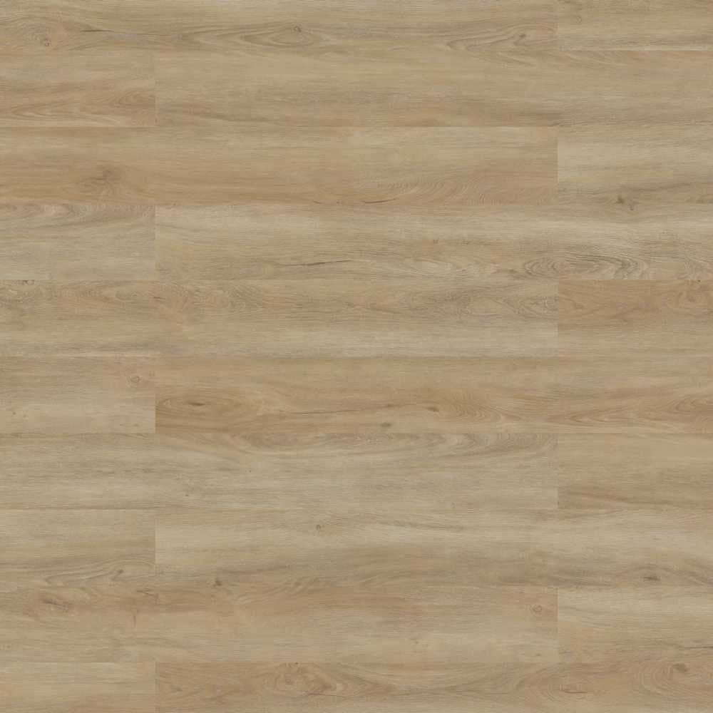CFS Spectre Click SPC LVT – Champagne Oak