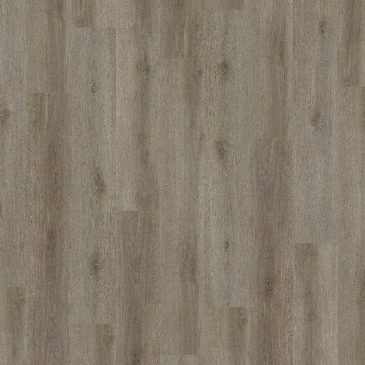 Hagley Signature 55 Kinver Grey Oak Gluedown LVT Plank
