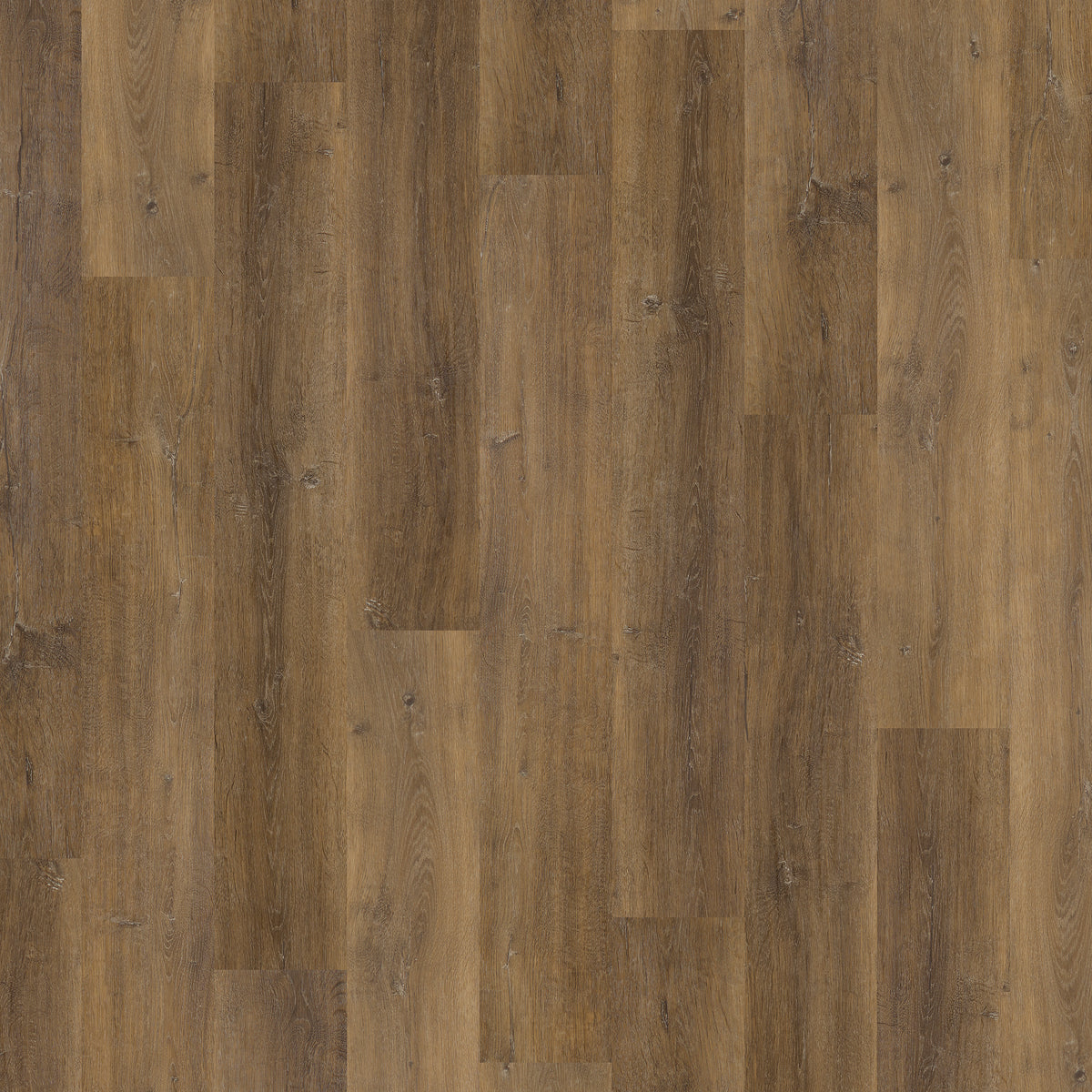 Hagley Signature 55 Droitwich Oak Gluedown LVT Plank