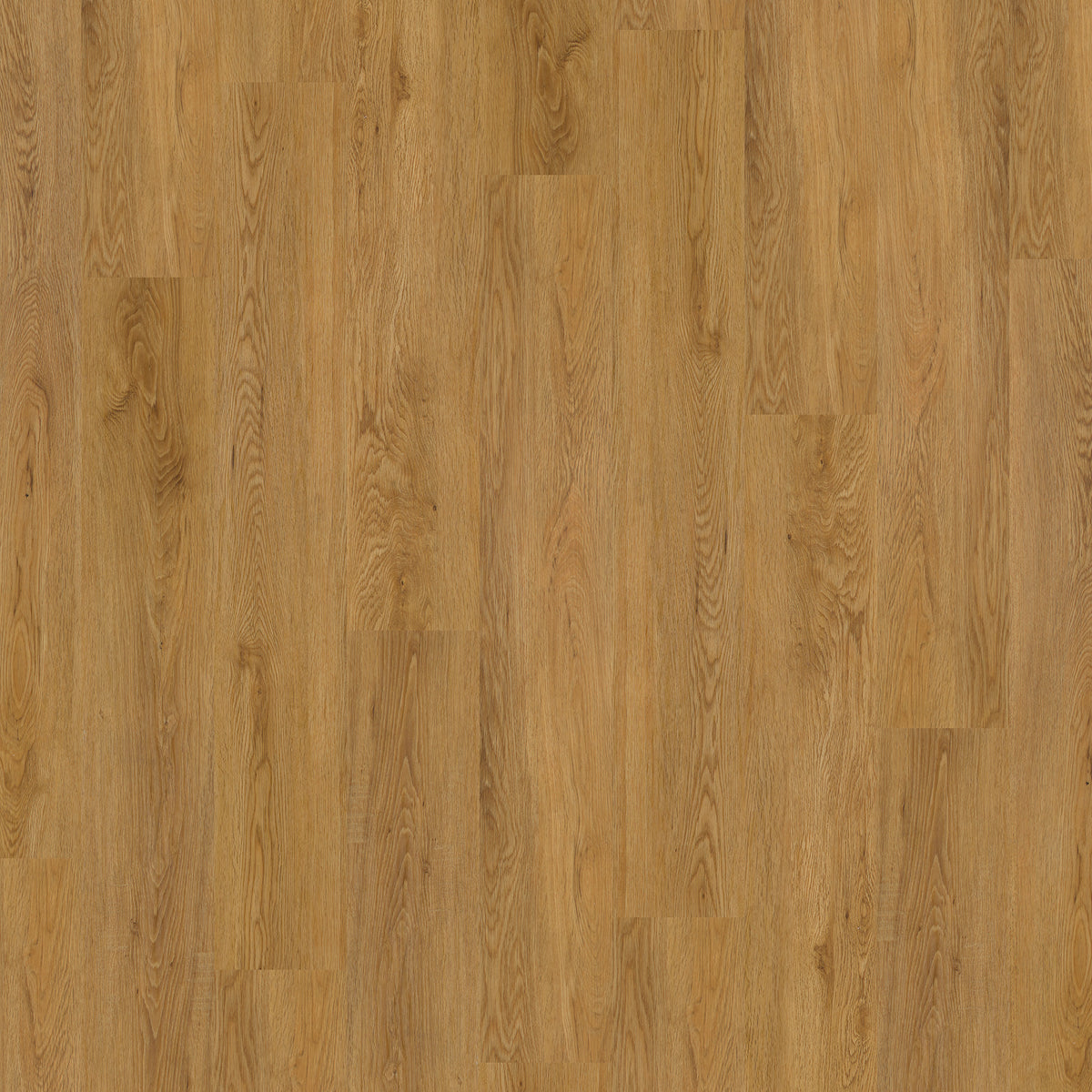 Hagley Signature 55 Ombersley Oak Gluedown LVT Plank
